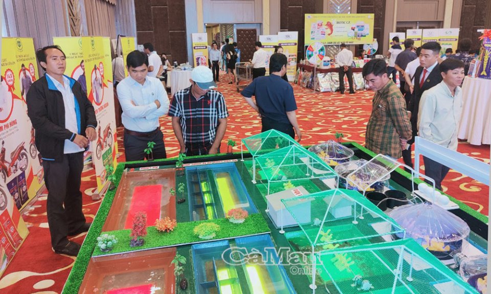 C.P. VIETNAM: Giải pháp nuôi tôm 15 con/kg