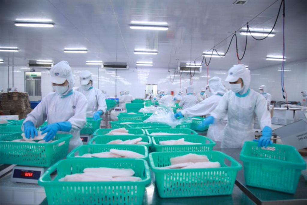 IDI- Viên ngọc sáng của vùng đất Cửu Long