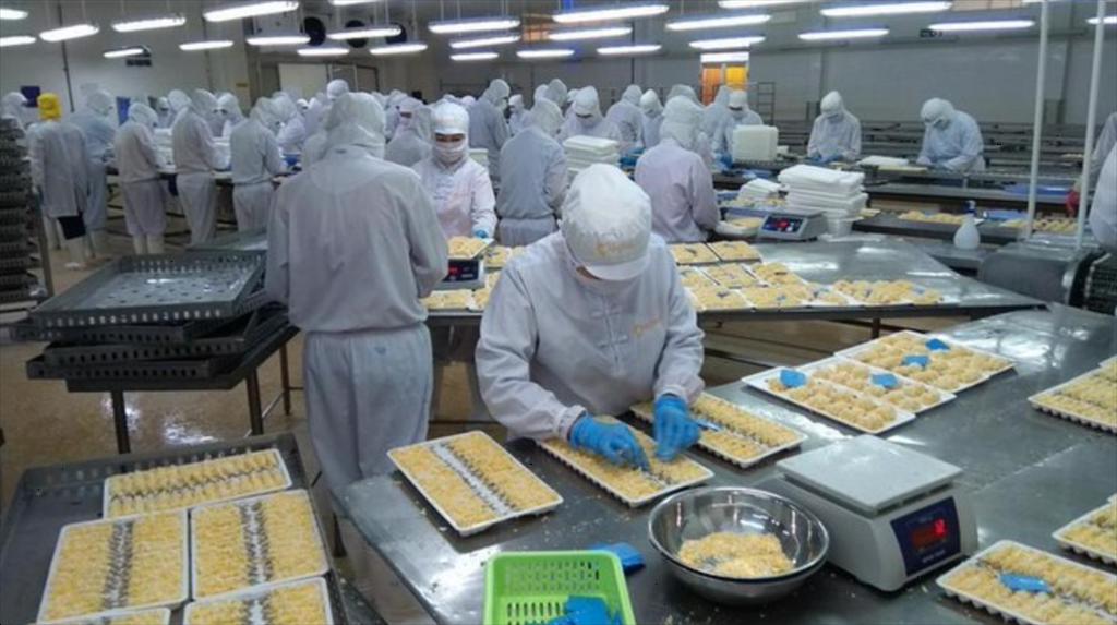 Camimex Group increases processing capacity to 20,000 shrimp products per year 