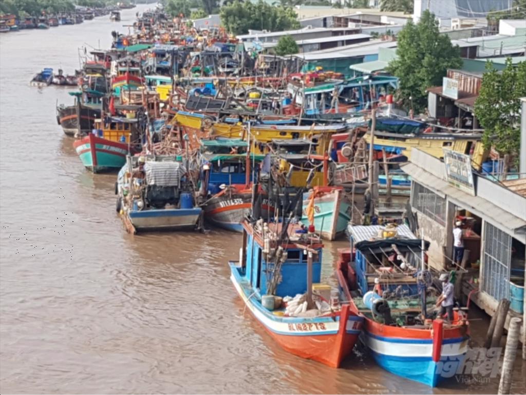 Bạc Liêu: Không còn tàu cá vi phạm ngư trường