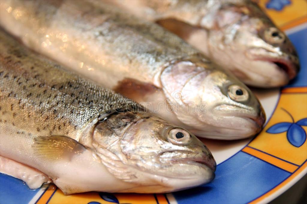 Cá Nga được mong đợi ở Trung Quốc 