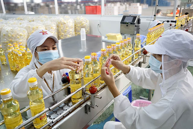 Xuất khẩu cá tra nửa đầu năm tăng mạnh ở ba thị trường lớn