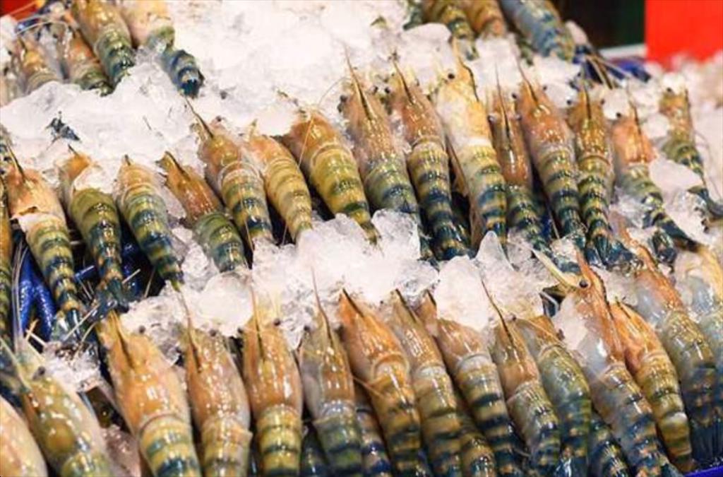 Lượng tôm nhập khẩu của Mỹ hụt hơi, dấu hiệu dư cung đang đến gần?