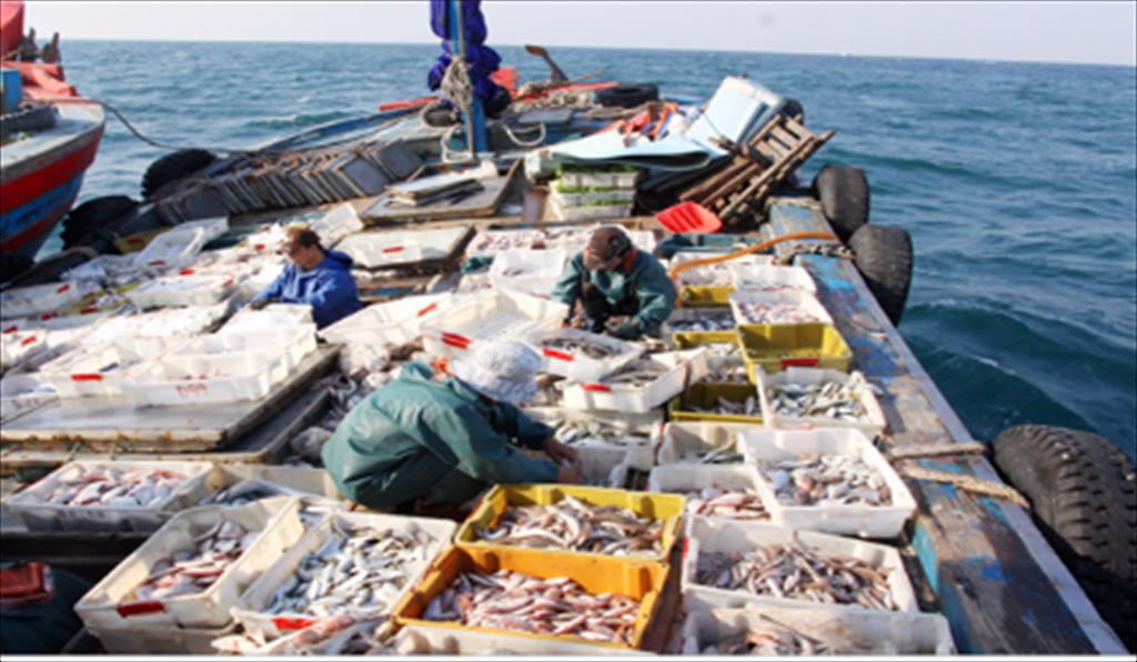 Sản lượng khai thác thuỷ sản của Nga tăng 