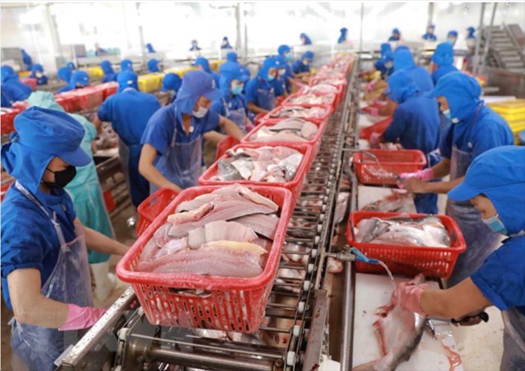 Doanh nghiệp thủy sản mong được vay bằng đồng nội tệ