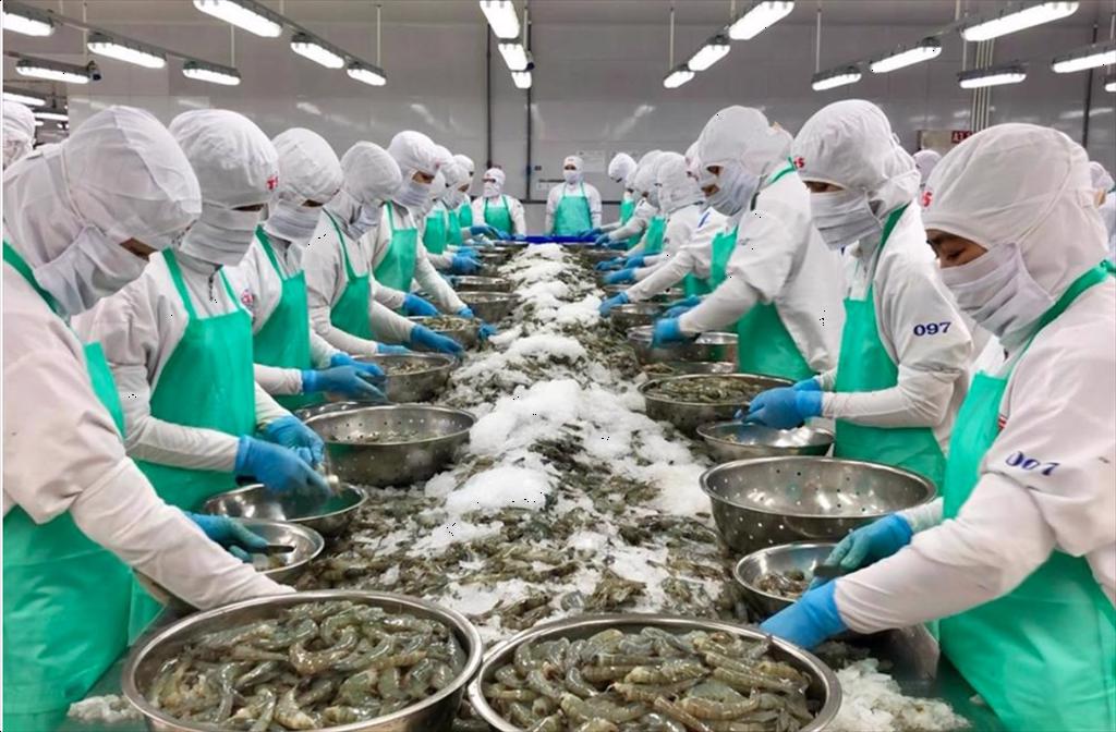 VASEP kiến nghị đẩy nhanh sửa Luật Đất đai, để thủy sản có đất phát triển vùng nuôi