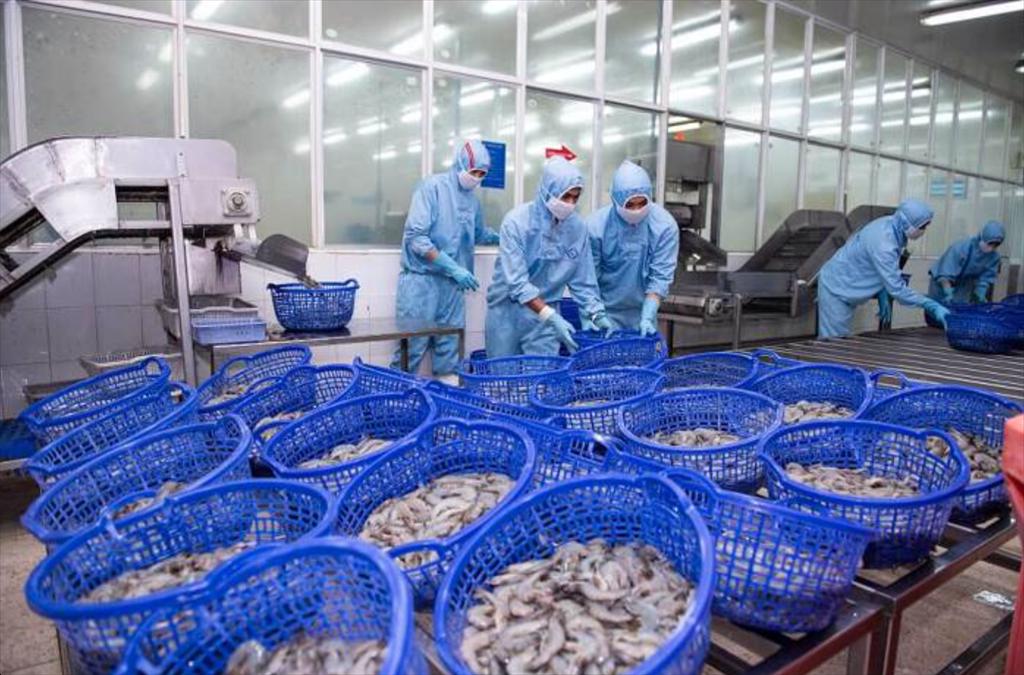 Sao Ta báo lãi kỷ lục quý II