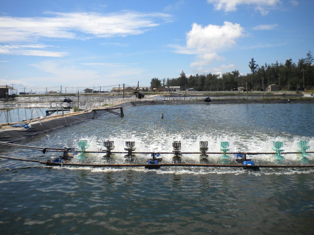 Chính phủ phê duyệt chiến lược phát triển cơ giới hóa nông sản đến năm 2030