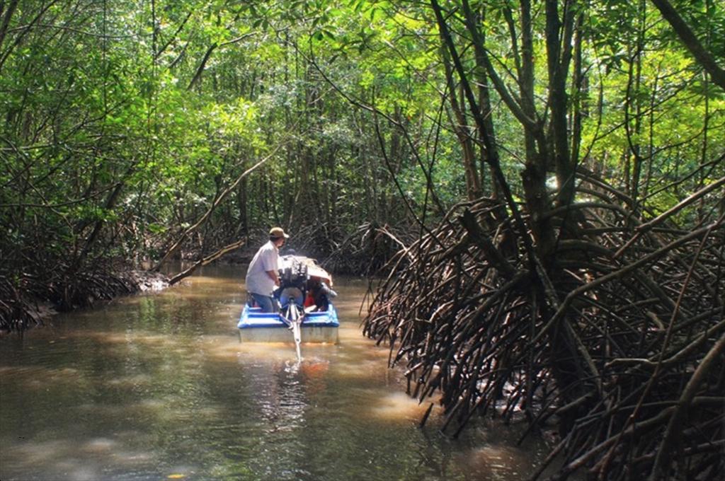 19,000 hectares of shrimp farming in Ca Mau certified with international standards