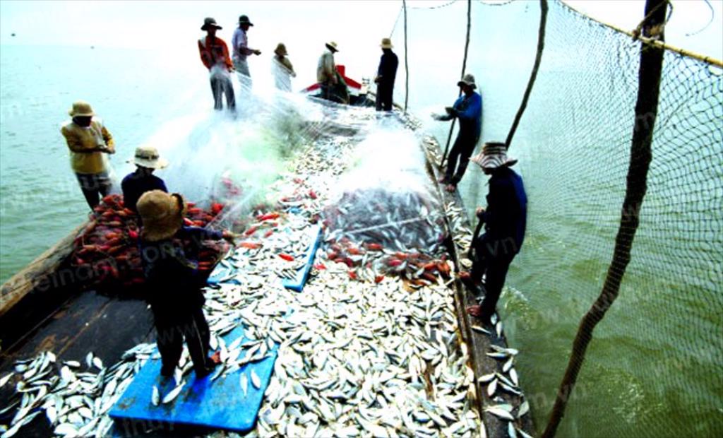 Thuỷ sản Argentina xuất khẩu sang Nga giảm mạnh do chiến sự ở Ukraine