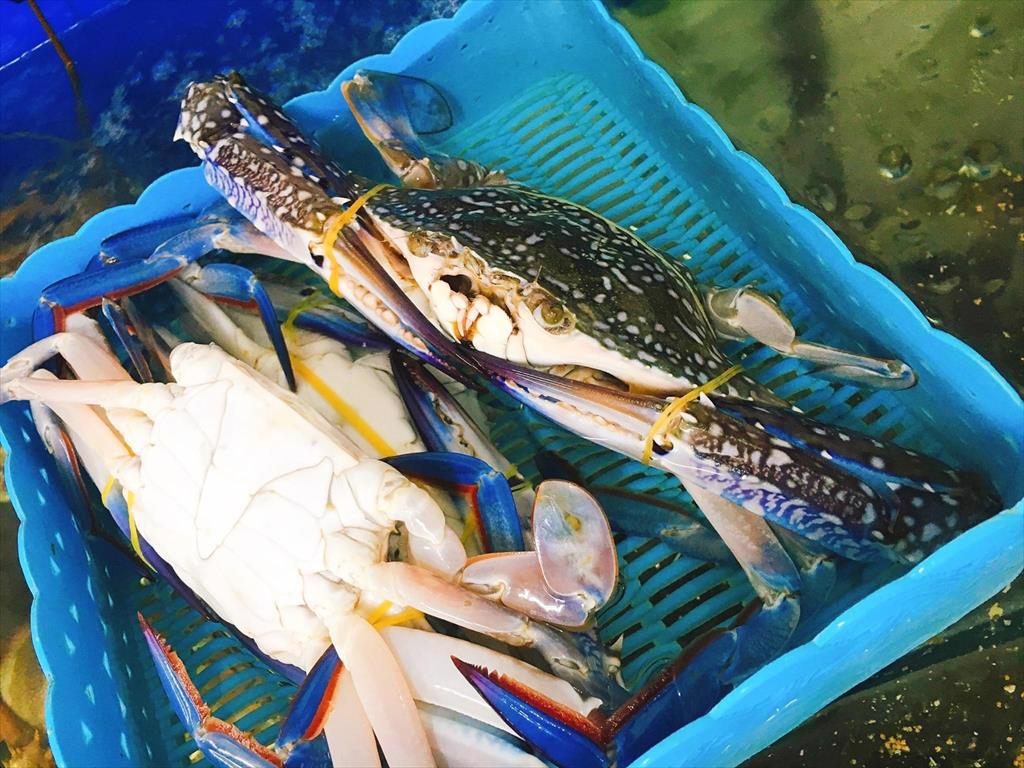 Giá ghẹ xanh của Mỹ giảm từ mức cao kỷ lục hồi đầu năm