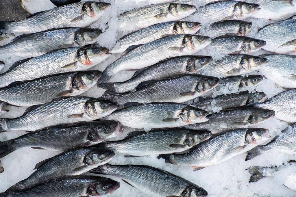 Nửa đầu năm, nhập khẩu cá của Nga giảm 35%