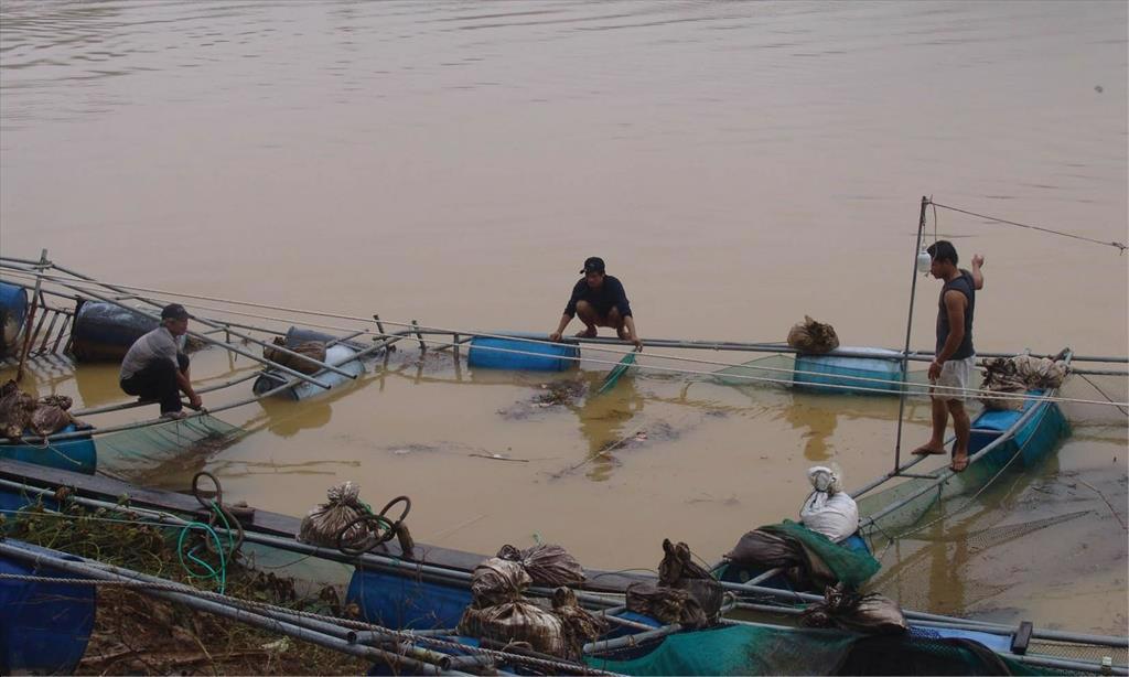 Bảo đảm an toàn nuôi trồng thủy sản trong mùa mưa bão