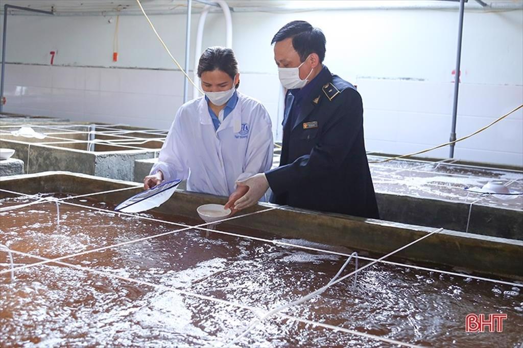 Hà Tĩnh sản xuất gần 550 triệu con giống thủy sản cho thị trường