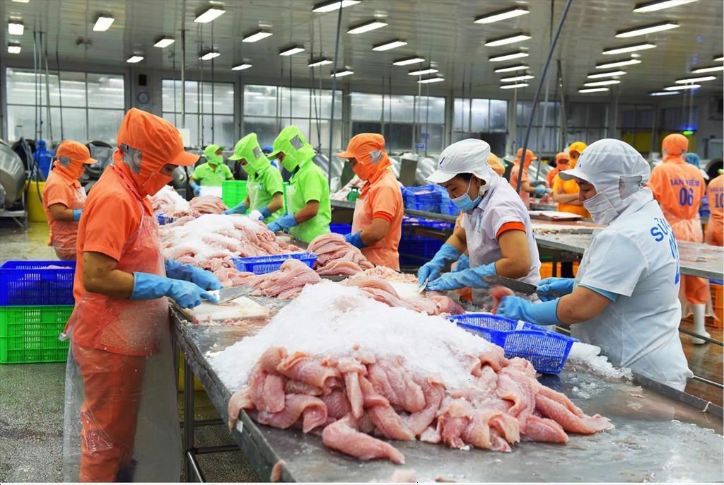 Vietnam pangasius exports to the EU – an optimistic forecast for the whole 2022