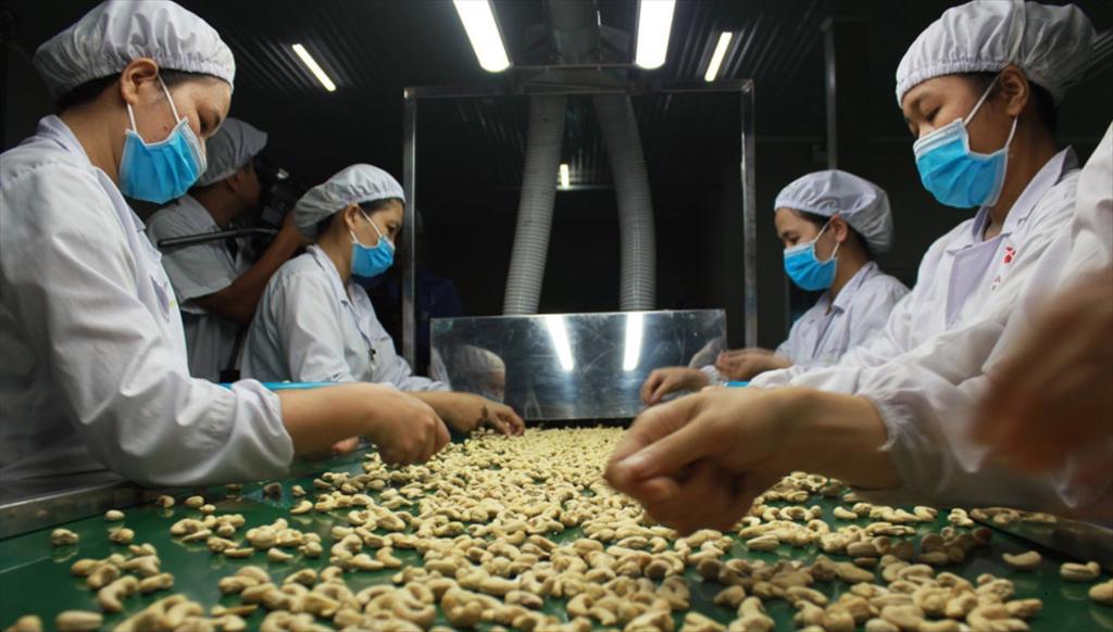 Lạm phát toàn cầu đe dọa xuất khẩu