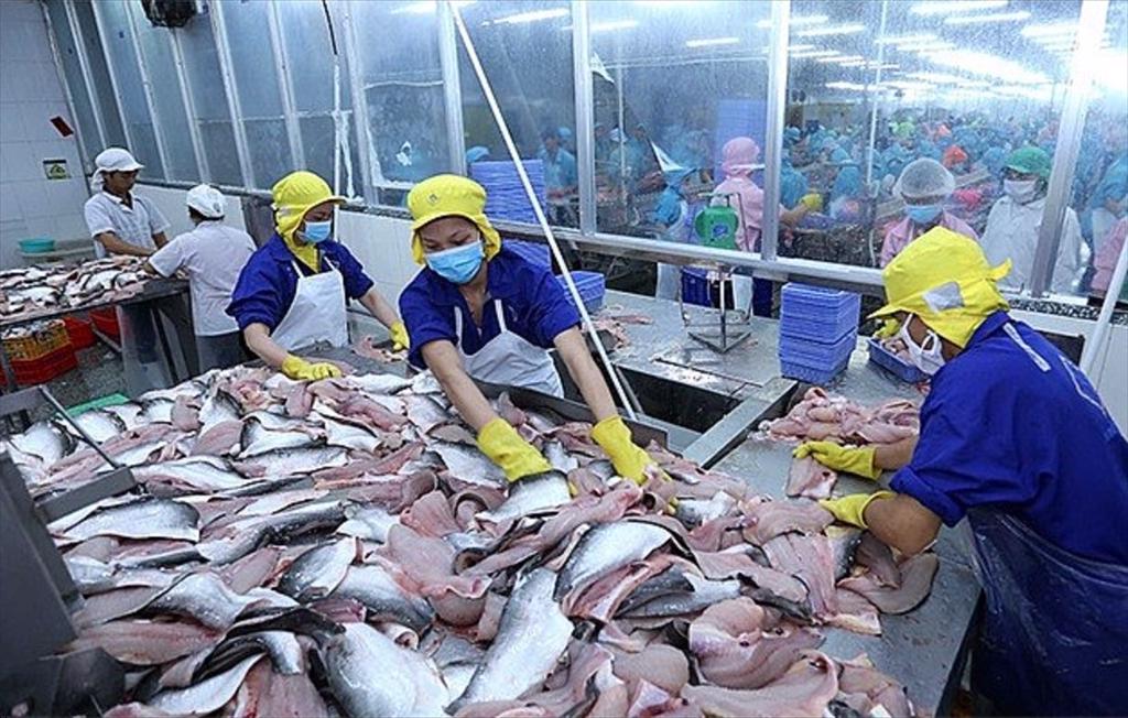 Nhập khẩu thủy sản của Mexico tăng mạnh trong năm 2021