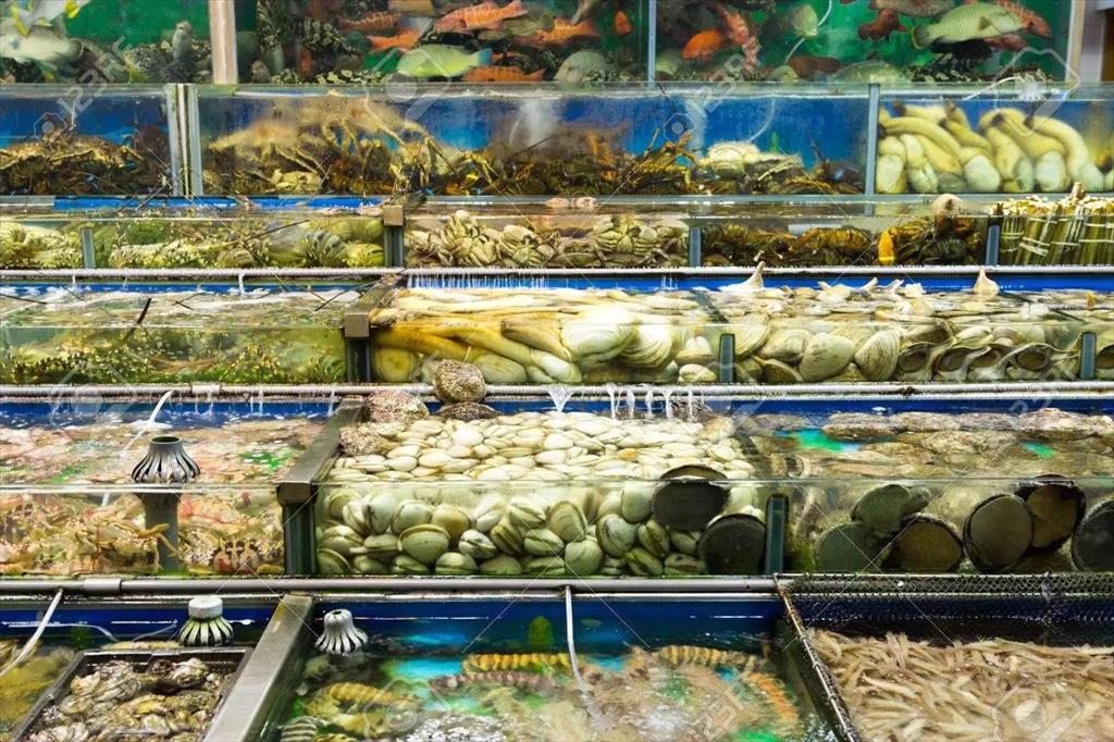 Thị trường thủy sản Trung Quốc: xu hướng và tiềm năng