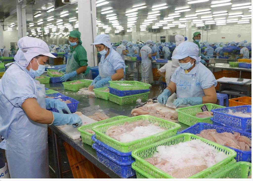 Xuất khẩu cá tra tháng 7/2022 thấp nhất từ đầu năm