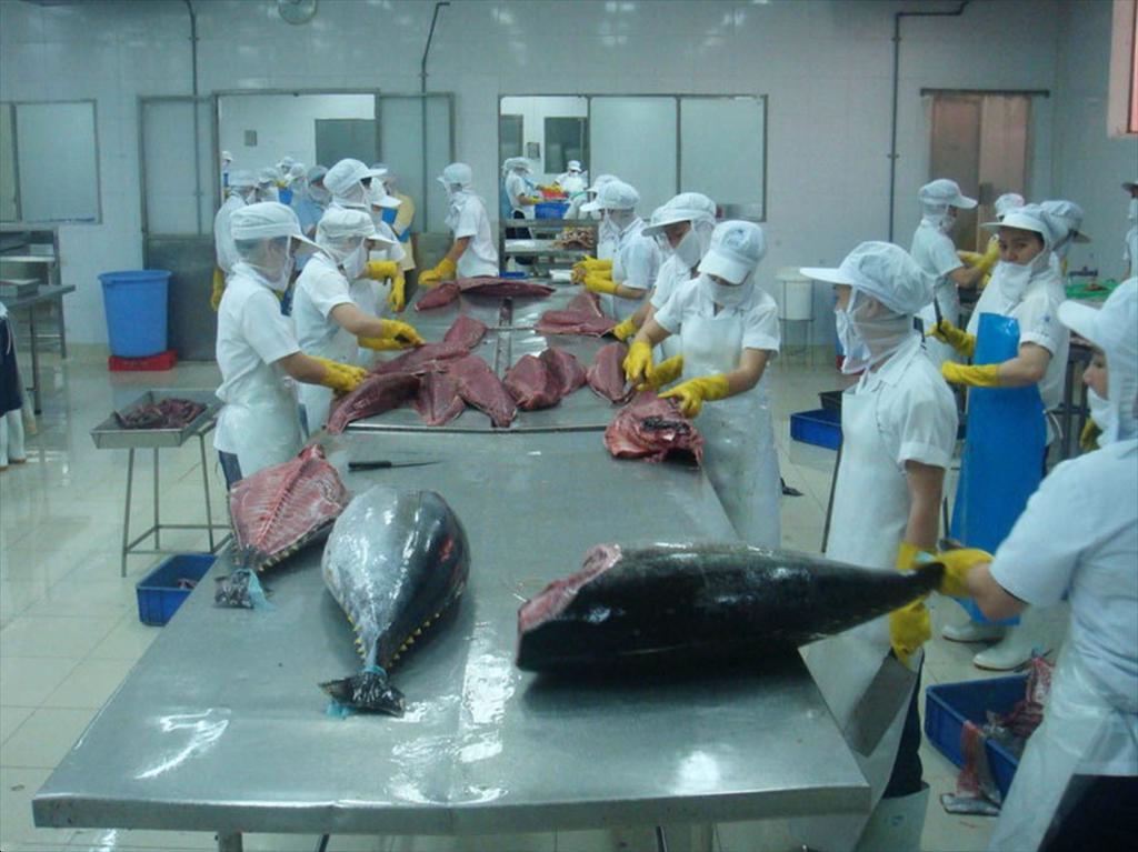 Bình Định tổ chức Lễ hội Cá ngừ đại dương dịp tháng 9