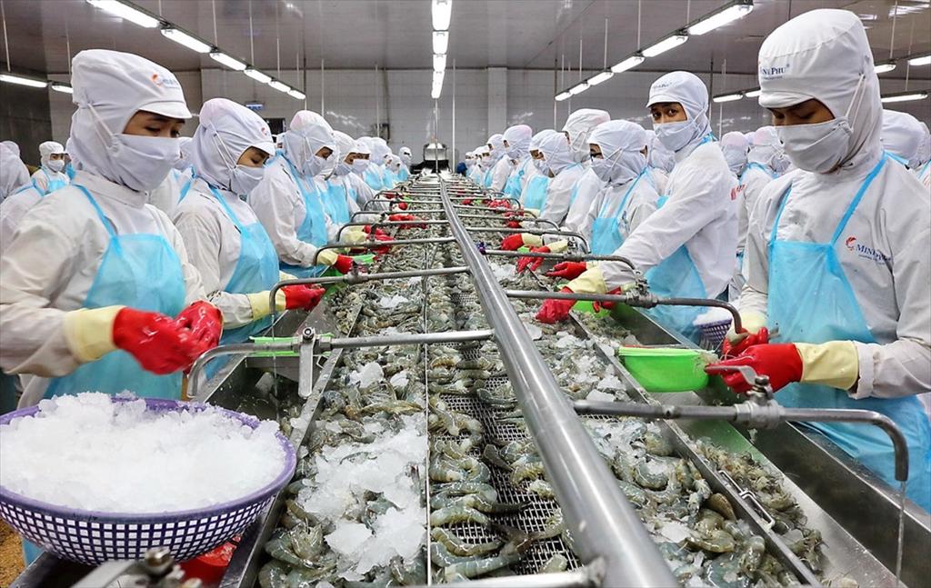 Sau mùa bội thu, doanh nghiệp thủy sản lo giảm tốc nửa cuối năm