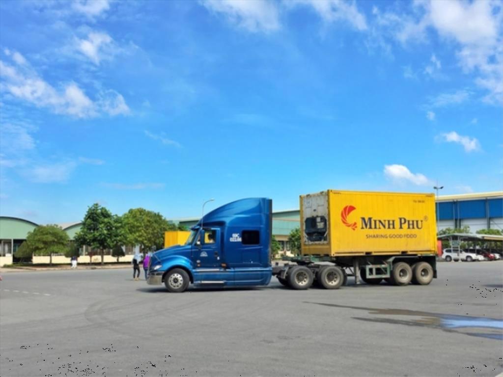 Thuỷ sản Minh Phú (MPC) sắp phát hành 200 triệu cổ phiếu thưởng tỷ lệ 100%