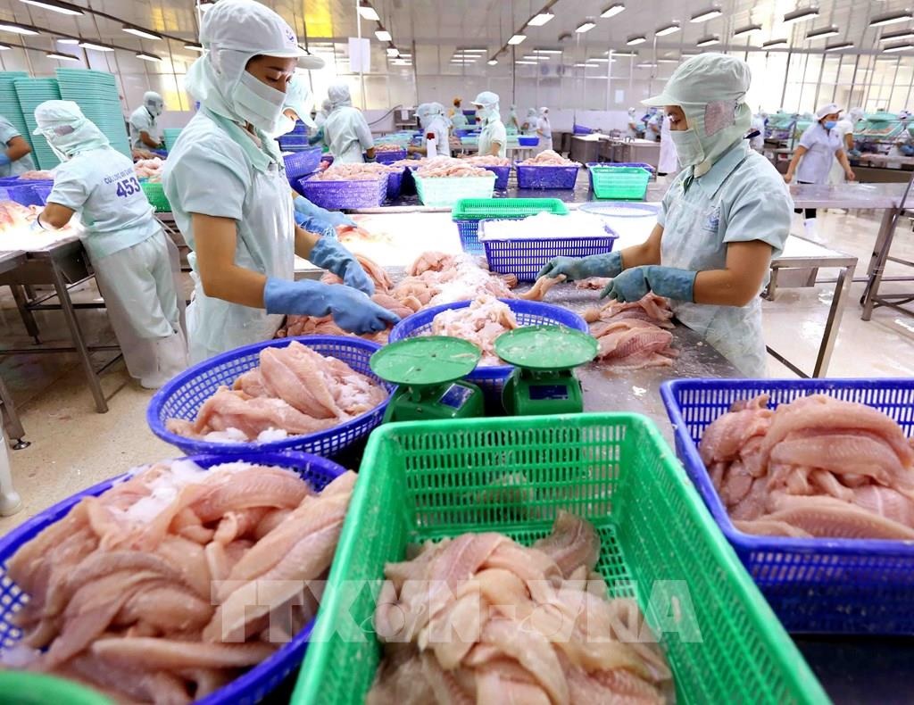 Lạm phát toàn cầu bắt đầu phủ bóng lên xuất khẩu thủy sản Việt Nam