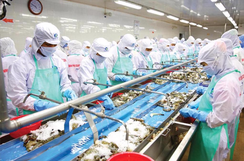 WWF: Tiêu thụ thuỷ sản ở Anh cần được đánh giá tác động toàn cầu 