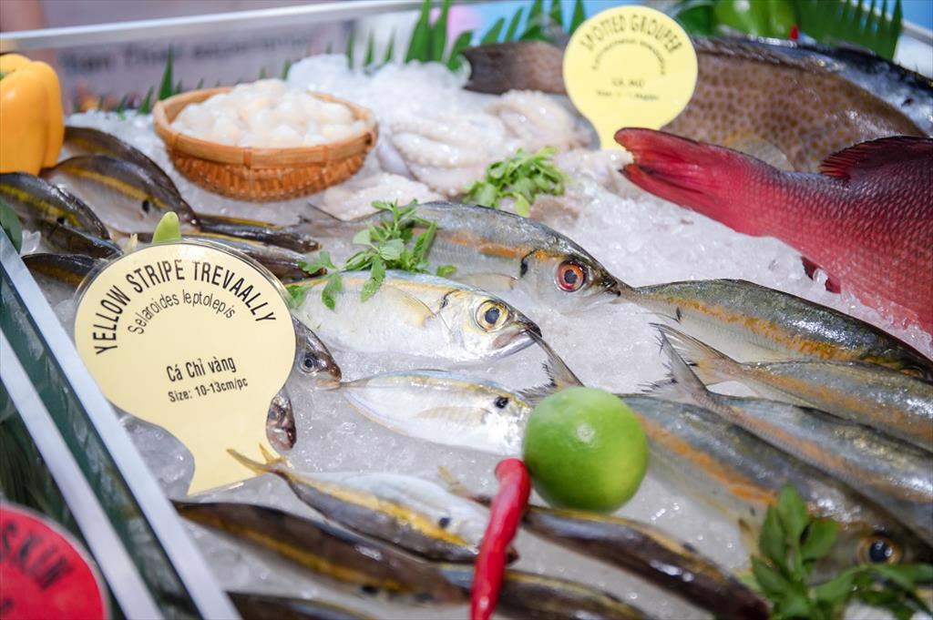 Xuất khẩu thủy sản tháng 8/2022 tiếp tục hạ nhiệt, đạt 917 triệu USD