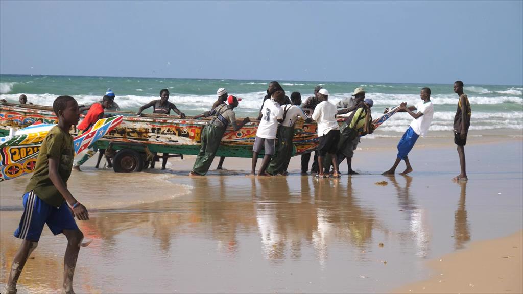 Các nước châu Phi cam kết tăng sản lượng cá thông qua hợp tác