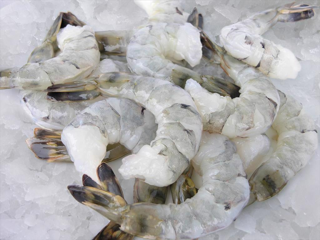 Doanh số tiêu thụ tháng 8 của Sao Ta gấp đôi cùng kỳ