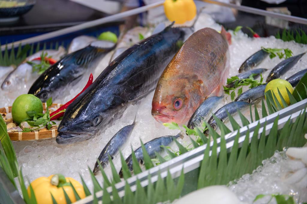 Ngành thủy sản tiếp tục tăng trưởng mạnh trong quý 3, nhóm xuất khẩu cá tra có thể đột biến