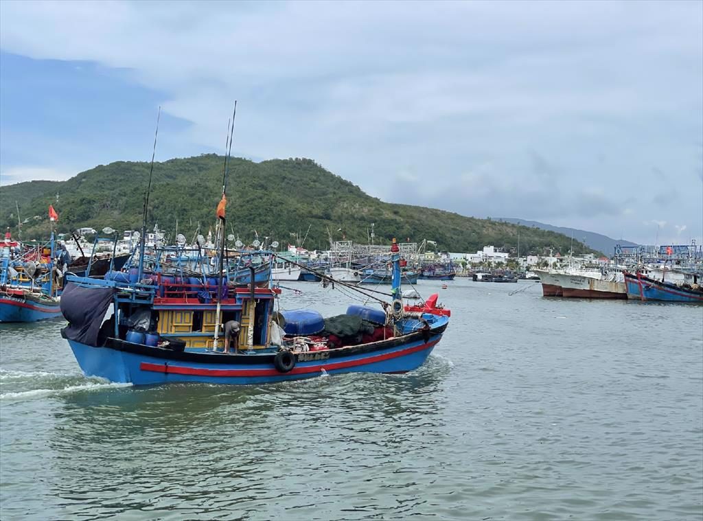 Việt Nam khó gỡ 