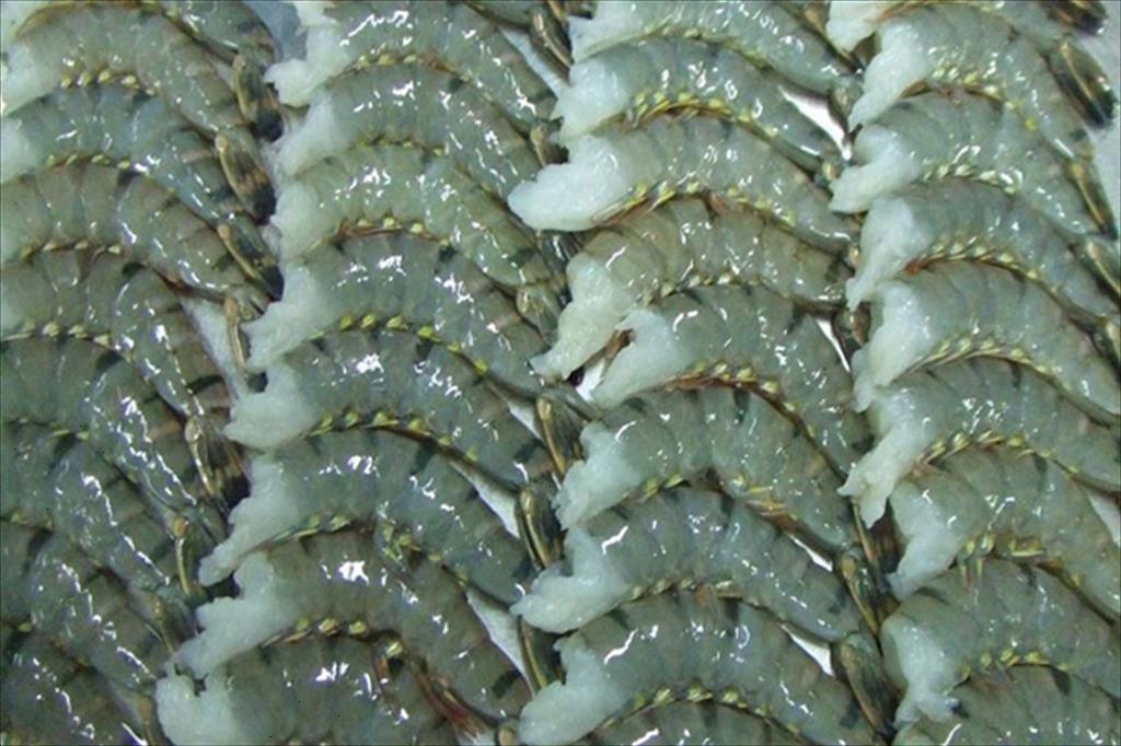 ITC sẽ rà soát thuế đối với tôm từ một số nước châu Á 