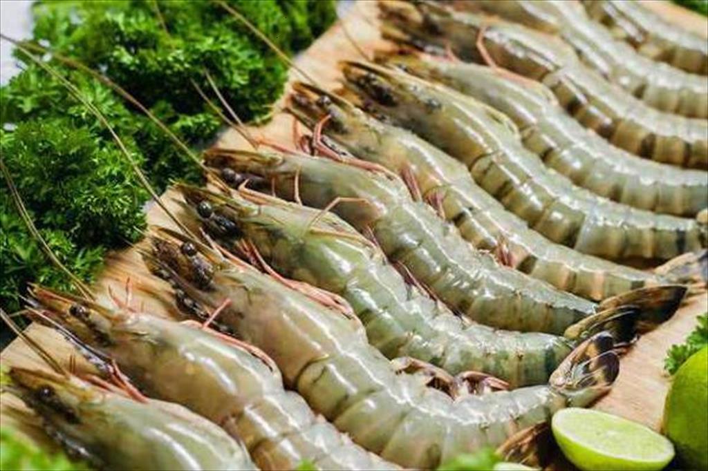 Ý kiến về mã ngạch của hệ thống ngành kinh tế Việt Nam