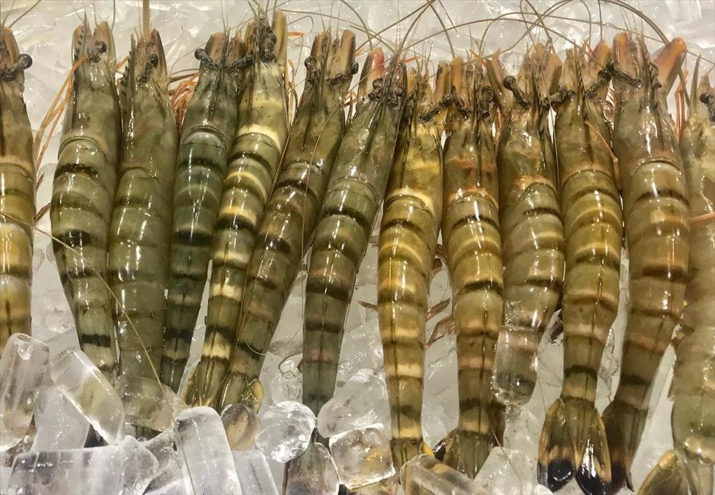 Vietnam shrimp exports reached more than 3 billion USD in the first 8 months of 2022.
