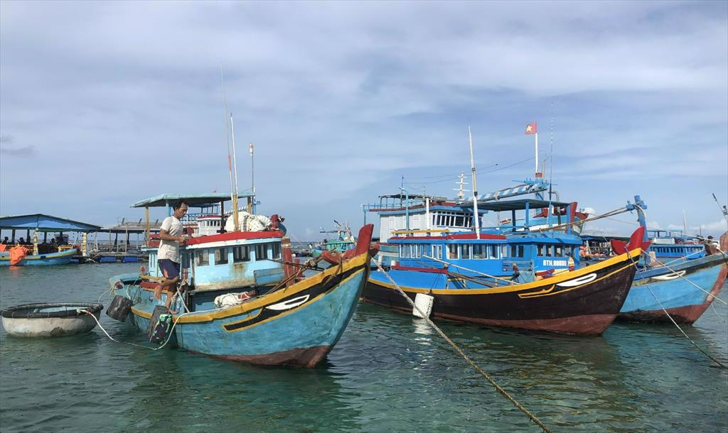 Thủ tướng Phạm Minh Chính yêu cầu gỡ cảnh báo "thẻ vàng" IUU của EC trước năm 2025