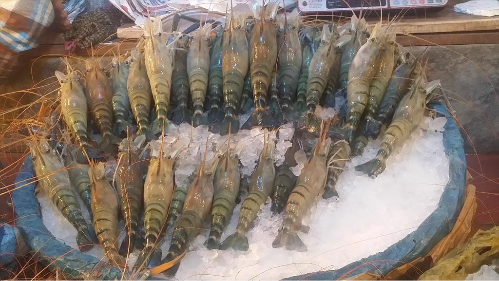 Xuất khẩu tôm của Bangladesh tăng lần đầu tiên trong 7 năm 