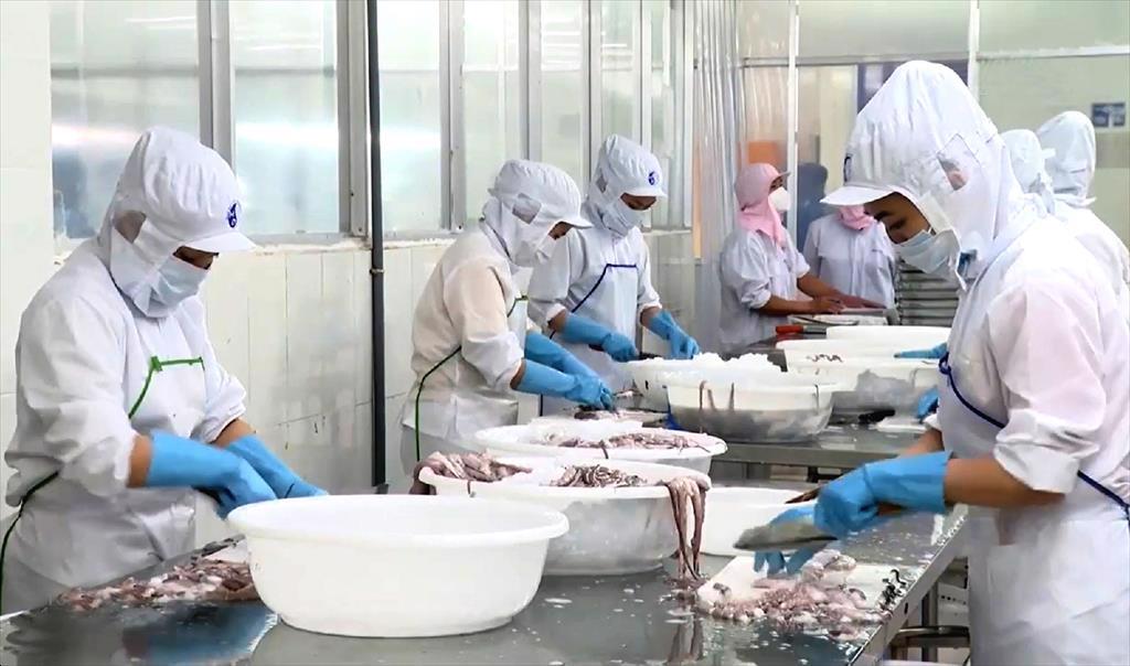 Xuất khẩu thuỷ sản "lội ngược dòng" đón đơn hàng cuối năm