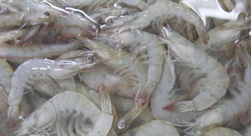 Ecuador kỳ vọng doanh thu cao trước dịp Năm mới của Trung Quốc 