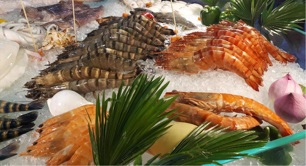 EU: Tiêu thụ thủy sản năm 2022 sẽ giảm 7% và ngày càng phụ thuộc vào nhập khẩu 