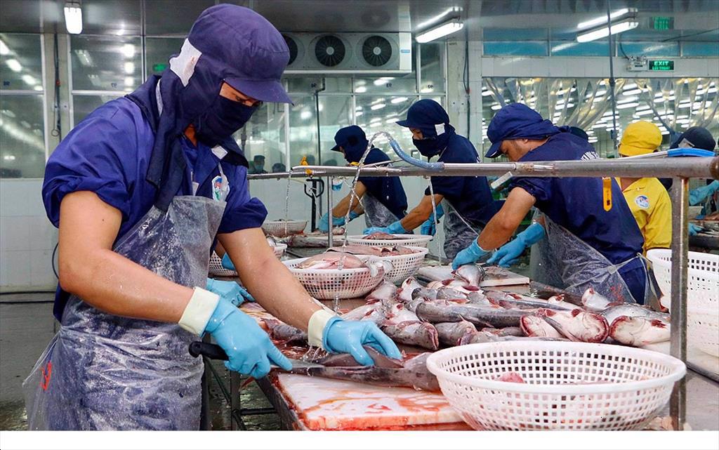 Vietnam seafood exports “turned the table”, increasing to serve end-year demand.