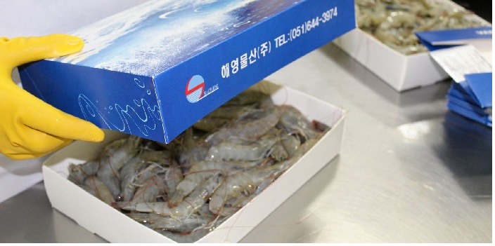 Xuất khẩu tôm Ecuador vẫn giữ chỗ đứng tại Mỹ, châu Âu  