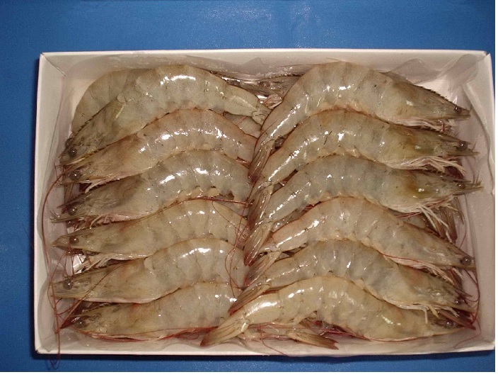 McIntosh (CP): Thương mại tôm sẽ cân bằng hơn ở các khu vực trên thế giới trong tương lai 