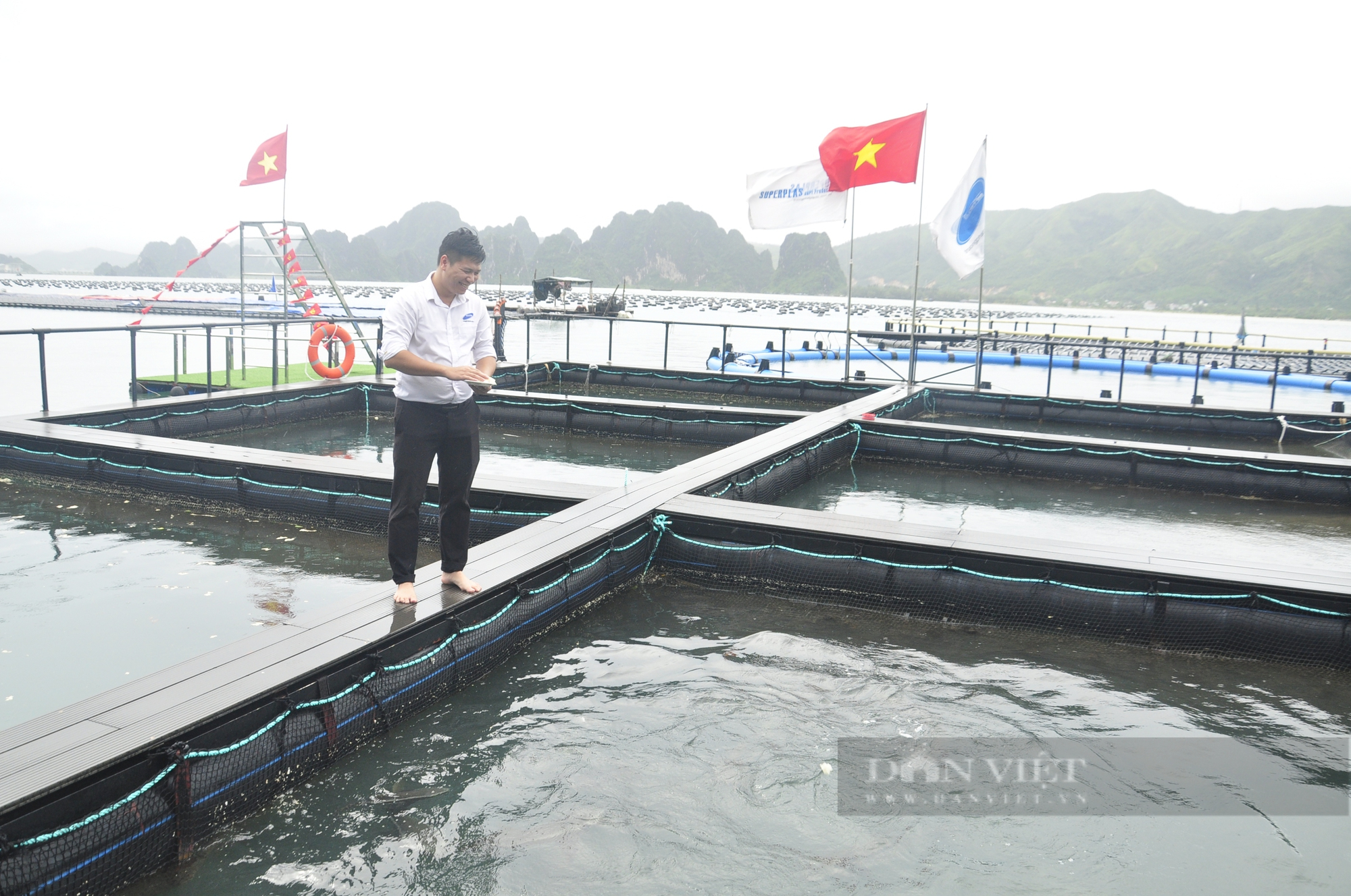 Chương trình quốc gia nuôi trồng thủy sản giai đoạn 2021-2030: Đặt mục tiêu sản lượng đạt 5,6 triệu tấn/năm