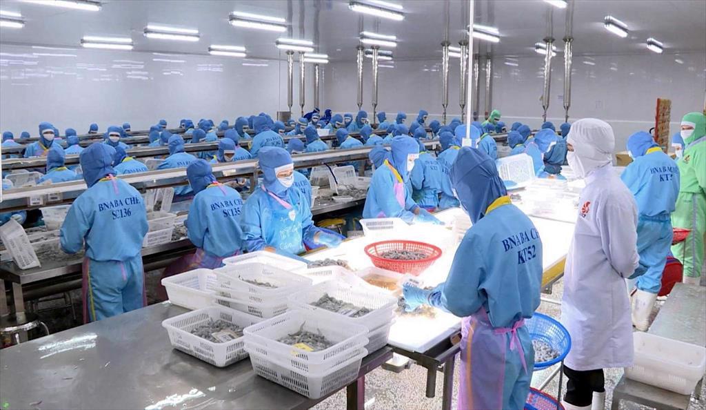 By the end of the Q3/ 2022, Vietnam seafood exports will reach $8.5 billion