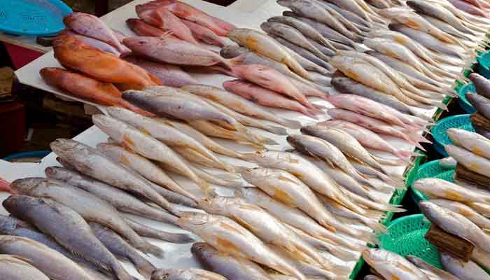 Xuất khẩu thủy sản của Pakistan tăng 52% trong tháng 7 và 8/2022 