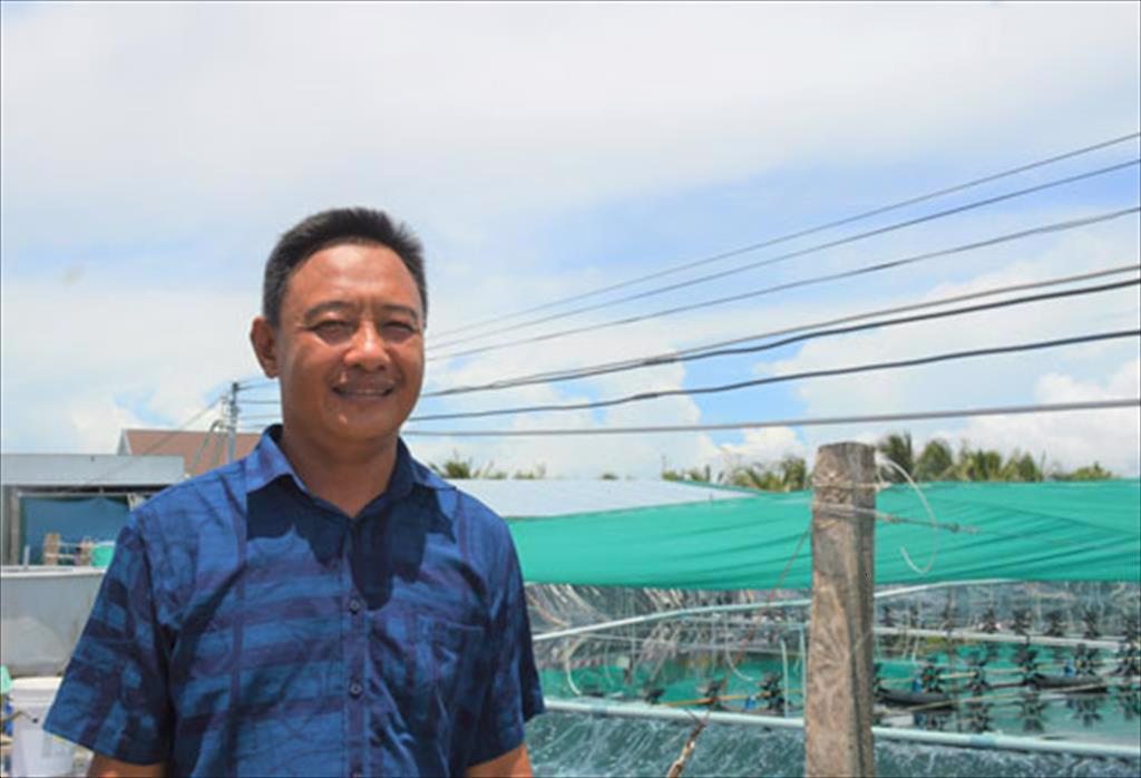 Nuôi sò huyết kiếm tiền tỉ