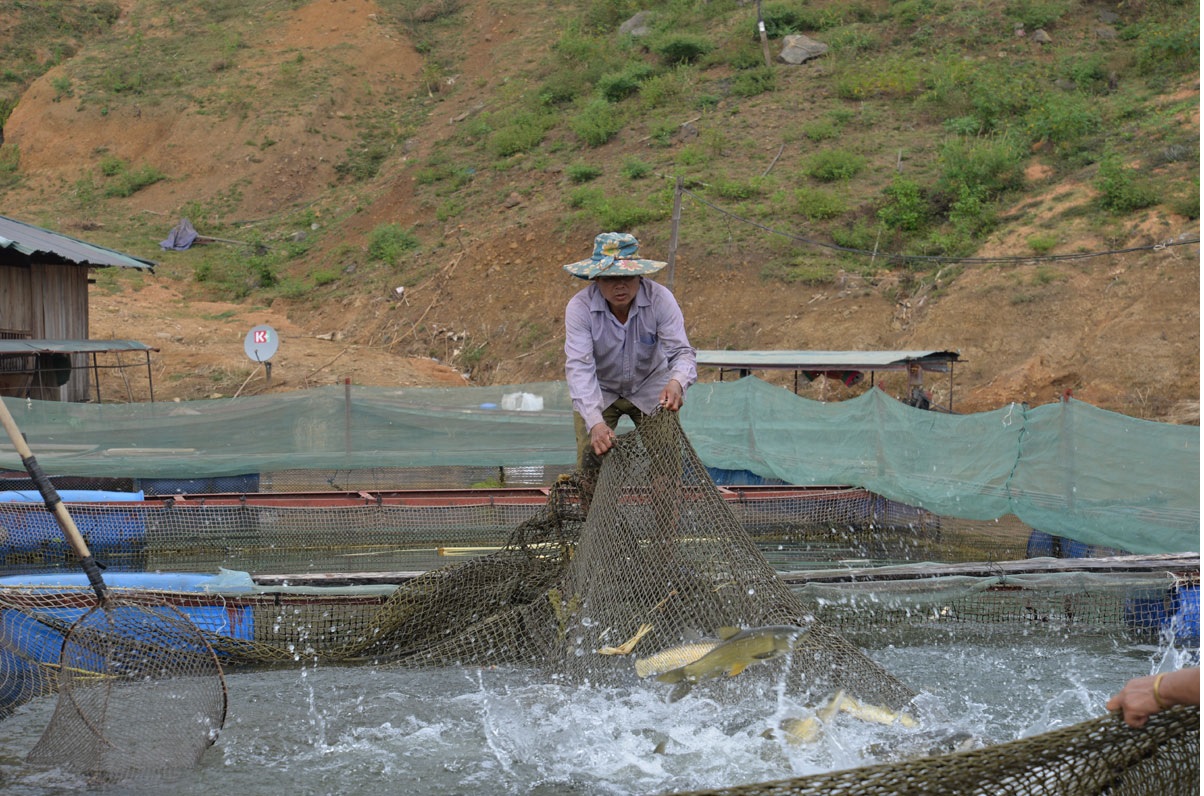 Ngành thủy sản giữ vai trò quan trọng khi dân số ngày càng tăng và biến đổi khí hậu 