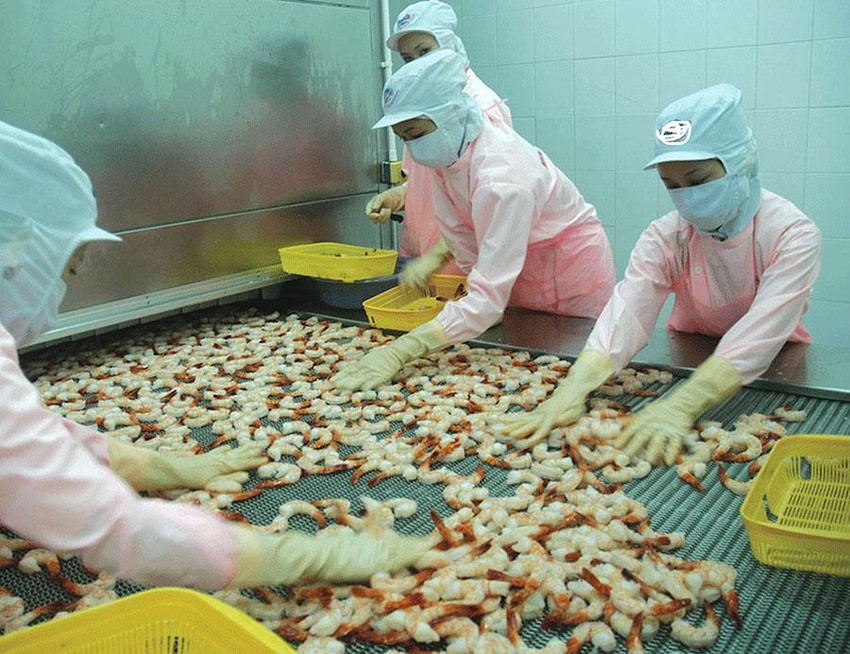 Thay đổi để thủy sản phát triển bền vững